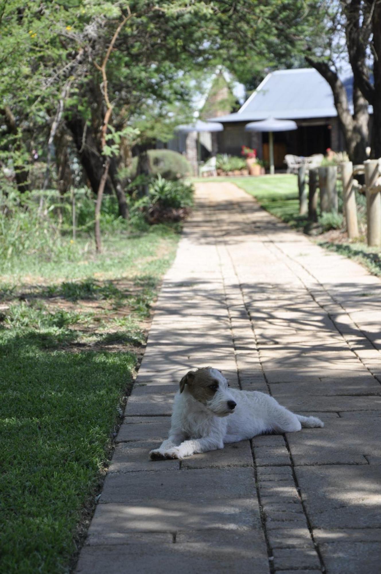 Grincourt Nature Reserve Polokwane Extérieur photo