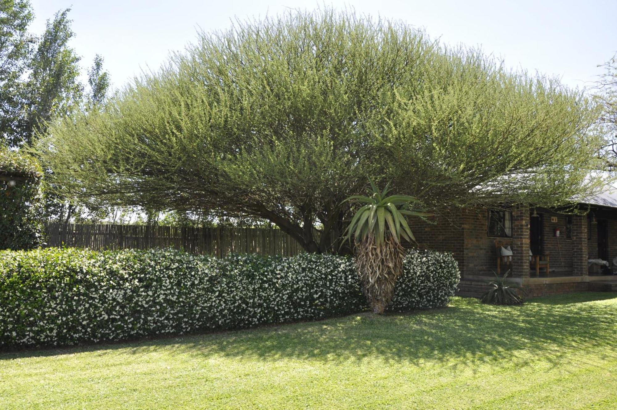 Grincourt Nature Reserve Polokwane Extérieur photo